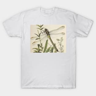 Dragonfly T-Shirt